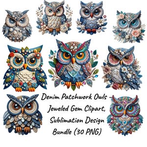 Puede incluir: Una colección de nueve diseños de búhos de patchwork de mezclilla con detalles de gemas enjoyadas. Los búhos presentan varios colores, incluyendo azul, turquesa y naranja, con adornos florales y de gemas. El texto dice "Denim Patchwork Owls - Jeweled Gem Clipart, Sublimation Design Bundle (30 PNG)".