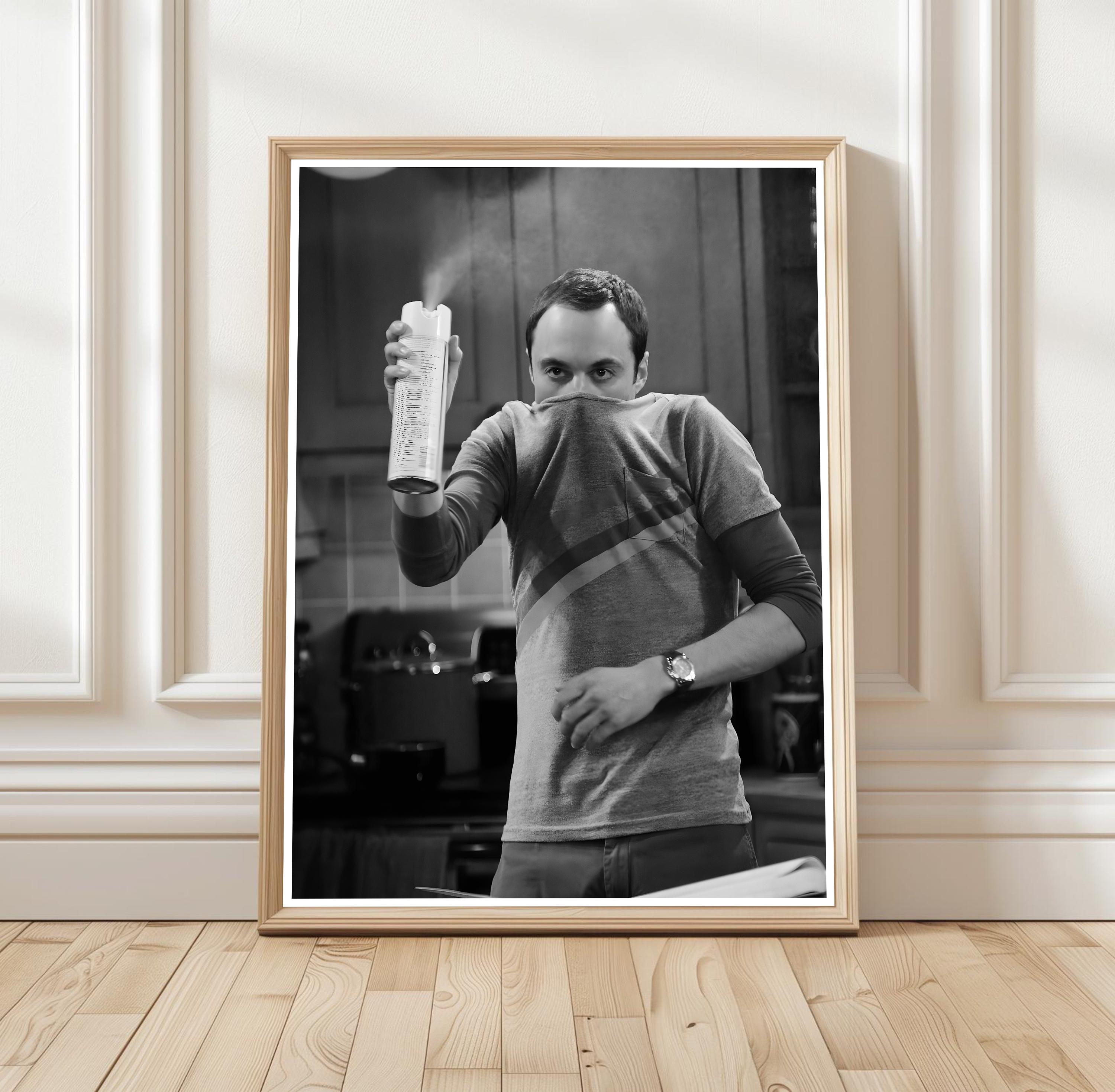 Poster Sur Toile The Big Bang Theory - Décoration Murale Pour Salon, Chambre à Coucher - Style Sans Cadre - 30 X 45 Cm