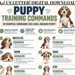 Puede incluir: Un póster de descarga digital titulado Puppy Training Commands que muestra un cachorro de beagle e instrucciones para 10 comandos esenciales. El diseño incluye pasos numerados con ilustraciones de beagle y explicaciones.