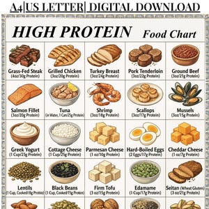 Protein Food List Printable | High Protein Foods Chart | Protein-Rich Grocery List | Protein Sources PDF Download