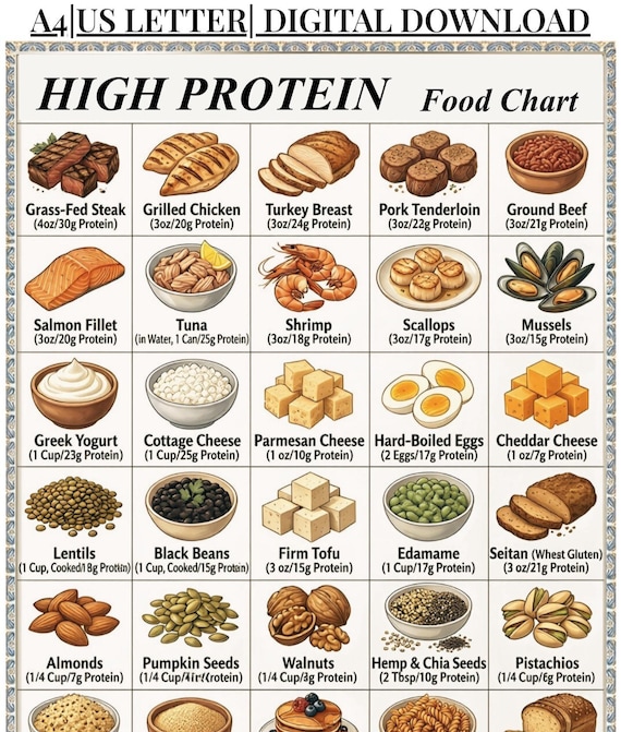 Protein Food List Printable | High Protein Foods Chart | Protein-Rich Grocery List | Protein Sources PDF Download