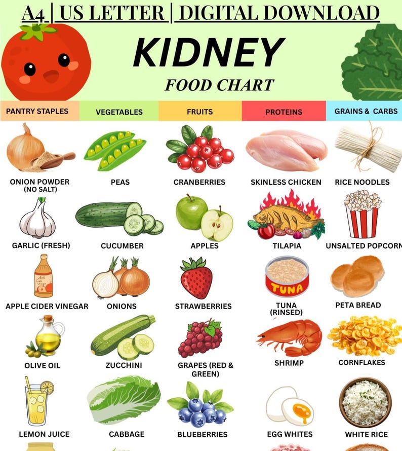 Kidney Friendly Food Chart PDF, Renal Diet Food List Printable, Kidney ...
