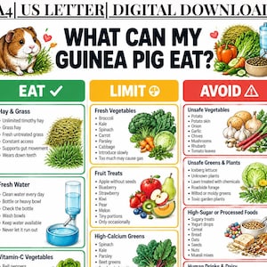 May include: A digital download chart titled What Can My Guinea Pig Eat? featuring illustrations of a guinea pig, vegetables, and fruits. The guide is organised into three colour-coded sections: green for foods to eat, yellow for foods to limit, and red for foods to avoid, with bulleted lists for each category.