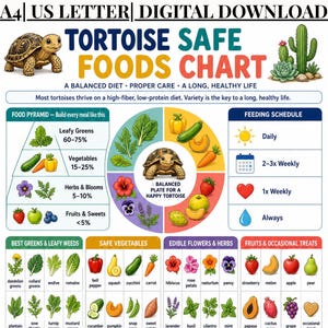 May include: A digital download chart titled Tortoise Safe Foods Chart featuring a tortoise illustration, a food pyramid, a circular diet plate, and a feeding schedule. It lists various greens, vegetables, flowers, herbs, and fruits for tortoises.