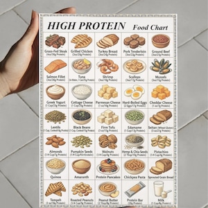 Protein Food List Printable | High Protein Foods Chart | Protein-Rich Grocery List | Protein Sources PDF Download image 3