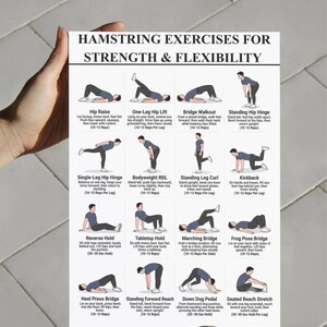 K&ouml;nnte beinhalten: Ein wei&szlig;es Lehrplakat mit dem Titel Hamstring Exercises for Strength & Flexibility, das sechzehn schwarz-wei&szlig;e Illustrationen einer Person bei verschiedenen &Uuml;bungen mit beschreibendem Text und Wiederholungszahlen f&uuml;r jede Bewegung zeigt.