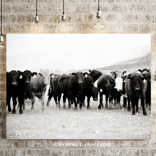 Cattle Line Up Fine Art Photography Print, Instant Digital Download, Rustic Country Art Wall Decor, Printable Art, Black White Photography