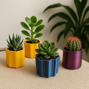 May include: Four small potted succulents. The pots are yellow, blue, purple, and a striped blue and purple. The plants include a zebra plant, a jade plant, a succulent, and a cactus. The pots are on a beige surface.