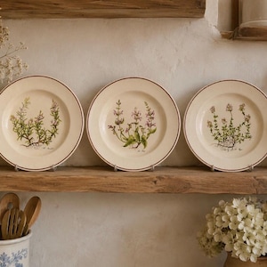 May include: Three cream-colored ceramic plates arranged in a row, each featuring a distinct botanical illustration of a green herb with small flowers in the center and a thin brown rim around the edge of the plate, displayed on a wooden shelf.