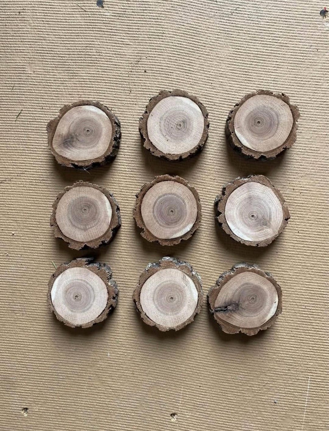 Walnut Rounds Black Walnut Rounds - Etsy