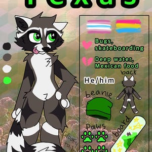 Puede incluir: Una hoja de referencia de personaje digital para un mapache llamado Texas, con un mapache gris y blanco de ojos verdes, un gorro verde, huellas de patas, un monopatín y texto que enumera intereses, pronombres y paletas de colores.