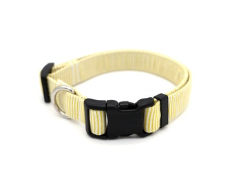 Yellow Pinstripe Dog Collar