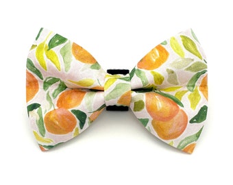 May include: A bow tie with a white background, patterned with orange citrus fruits, green leaves, and yellow accents. It has a black adjustable strap. This bow tie is a fashionable accessory for pets, adding a touch of style.
