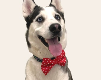 Valentine's Day Hearts Dog Bow Tie