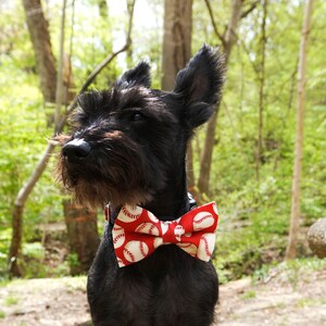 Baseball Dog Bow Tie image 3