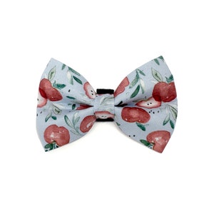 Apple Dog Bow Tie