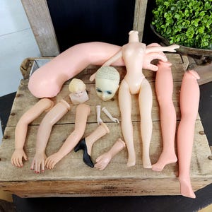 Vintage Plastic Mismatched Doll Parts, Assemblage, Altered Art Supplies, Arms and Legs, Heads, Creepy Doll Parts, Halloween Decor, #4663