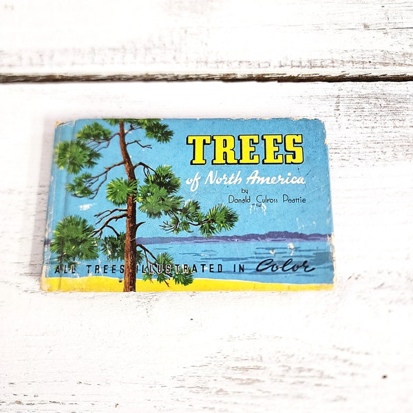 Vintage Trees of North America Book, Copyright 1934, Whiteman Publishing, Collectible Book, Reference Book, Scrapbooking, Supplies, #3499