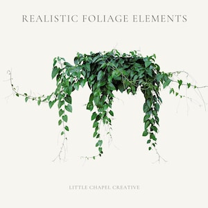 May include: Realistic foliage elements. A vibrant green plant with trailing vines and heart-shaped leaves. The image includes the text "Realistic Foliage Elements" and "Little Chapel Creative" on a neutral background.