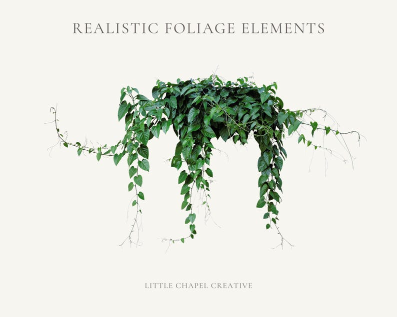 May include: Realistic foliage elements. A vibrant green plant with trailing vines and heart-shaped leaves. The image includes the text "Realistic Foliage Elements" and "Little Chapel Creative" on a neutral background.