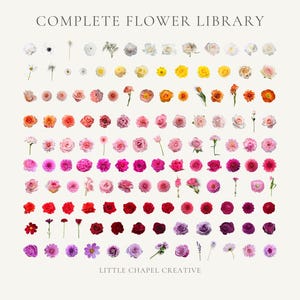 May include: A grid of diverse flowers, displaying a range of hues from white to violet. The image features the text "COMPLETE FLOWER LIBRARY" at the top and "LITTLE CHAPEL CREATIVE" at the bottom, in a neutral background.
