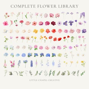 Può includere: Illustrazione ad acquerello di una libreria di fiori, con una varietà di fiori nei toni del rosa, rosso, giallo, viola e blu. L'immagine è etichettata "COMPLETE FLOWER LIBRARY" e "LITTLE CHAPEL CREATIVE". I fiori sono disposti in file e colonne.