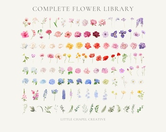 Digital Flower Library & Floral Mock-Up Tool | 120+ Illustrated Botanical Elements | For Florists and Designers | Design in Canva