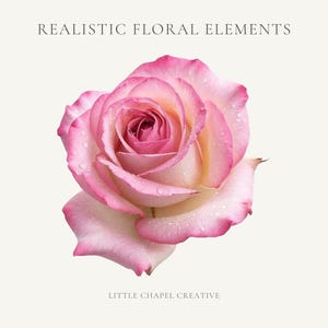 May include: A detailed image of a pink and cream rose with water droplets. The rose has a layered petal structure and is set against a cream background. Text at the top reads "REALISTIC FLORAL ELEMENTS" and at the bottom "LITTLE CHAPEL CREATIVE".
