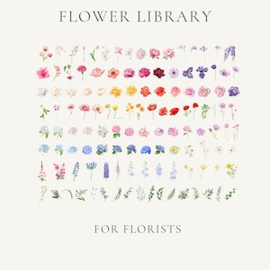 Digital Flower Library | Bouquet Builder + Mockup Tool for Florists & Event Stylists | 120+ Illustrated Elements | Canva Template