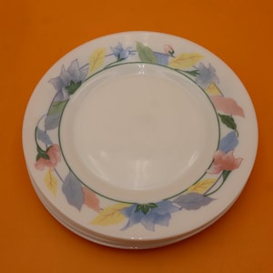 May include: A round white ceramic plate featuring a decorative border pattern of blue, pink, and yellow flowers with green leaves. The center of the plate is plain white, and a thin green line circles the inner rim of the floral border design.
