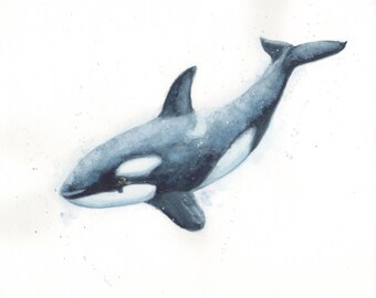 Orca Nursery Print watercolor orca whale