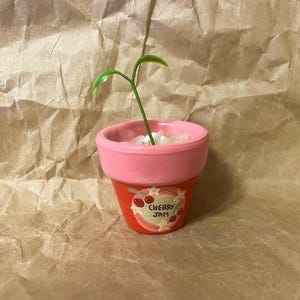 May include: A small, hand-painted terracotta pot with a young plant. The pot is red with a pink rim and features a "Cherry Jam" label. The plant has a green stem and two small leaves. The pot is filled with white pebbles.