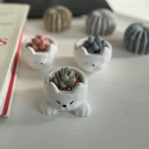 May include: A collection of small, white ceramic cat-shaped planters, each holding a succulent plant. The succulents vary in color, with some having pink, blue, and green hues. The planters are arranged on a white surface.