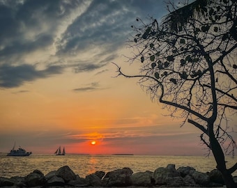 Ocean Sunset With Sailboat And Tree Silhouette | Digital Download Photography Art