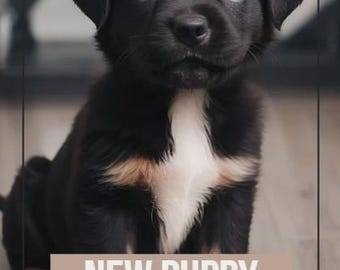 new puppy shopping checklist