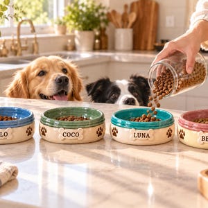 May include: Four ceramic pet bowls with cream-colored bases and colored rims in blue, green, teal, and pink. Each bowl features a bone-shaped nameplate with the names Milo, Coco, Luna, and Bella, accented by brown paw print designs.