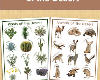 Wüstenpflanzen und Tiere Lernposter, 12 Wüstenpflanzen und 12 Tiere US Letter & A4 Größe druckbare Wandkunst 2 Seiten