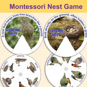 May include: Montessori Nest Game with the text "Montessori Nest Game". The game features illustrations of bird nests, including hanging and ground nests, and various bird species like the ostrich, duck, and sunbird. The game is designed for educational purposes.