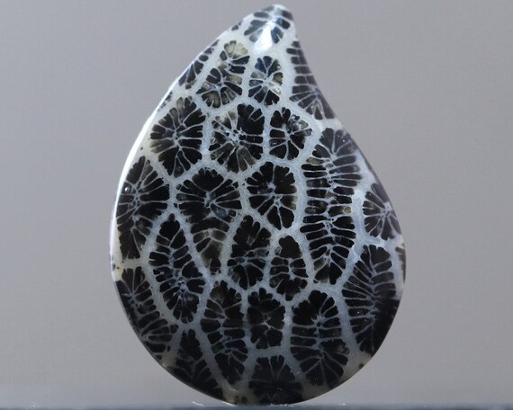 Black on sale coral gem