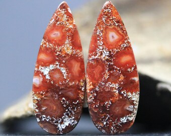 Cabujones de coral fósil rojo / Par a juego de 23 ct / Coral agatizado en forma de lágrima / Unique Jewelry Supply