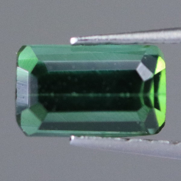 Verdelite Green Tourmaline Faceted Gemstone