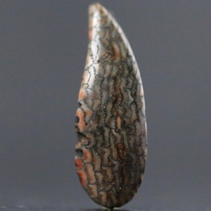 May include: A polished, elongated gemstone with a textured surface. The stone features a pattern of brown, grey, and reddish-orange hues, resembling a fossilised material. The shape is reminiscent of a tooth or claw.
