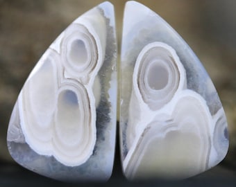 Cabujones de ágata orbicular a juego, par de ágata natural
