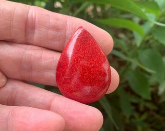 Red Coral Teardrop Organic Gemstone Flat Back Cabochon 40MM | 35 CARATS