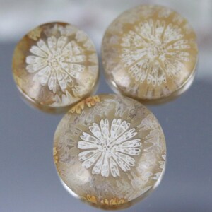 May include: Three circular, polished stones with a floral pattern. The stones have a light brown background with a white, starburst design in the centre. The stones are smooth and reflective.