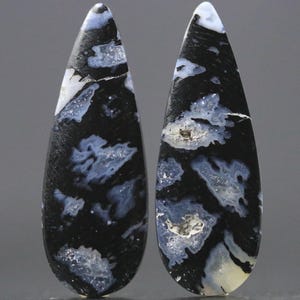 Gembone Fossil Cabochon Pair: Unique Dinosaur Bone Gemstones for Statement Earrings, 30mm
