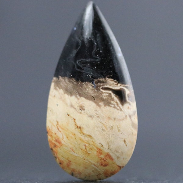 Cabochon en forme de goutte d'agate d'oeil d'oiseau fossile de racine de palmier 40MM | 29 CARATS