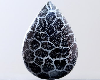 Black Coral Teardrop Cabochon Organic Sea Specimen Beautiful Gemstone from Indonesia 41MM | 25 CARATS