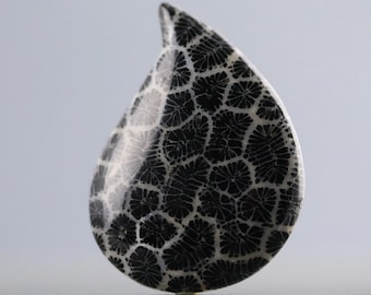 Cabujón de lágrima de coral negro / Gema de coral fósil grande / Colgante de piedra protectora / Joyería única