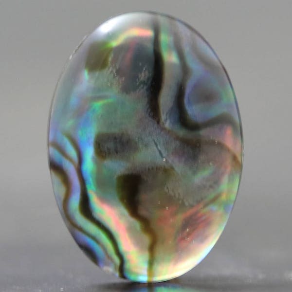 Abalone Cabochon Doublet in Glass Iridescent Chatoyant Organic Sea Cabochon (V717)